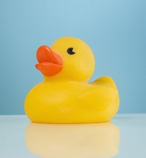 Rubber ducky.-895813-edited-941794-edited.jpeg Yellow Rubber Ducky
