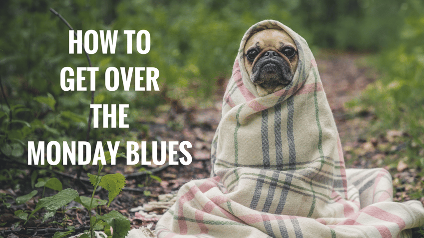 Мемы про программистов. Monday monday is a funday. How was your day. Which you today. Monday to friday.