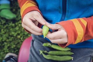 urban gardening MakerSpace Education Technology